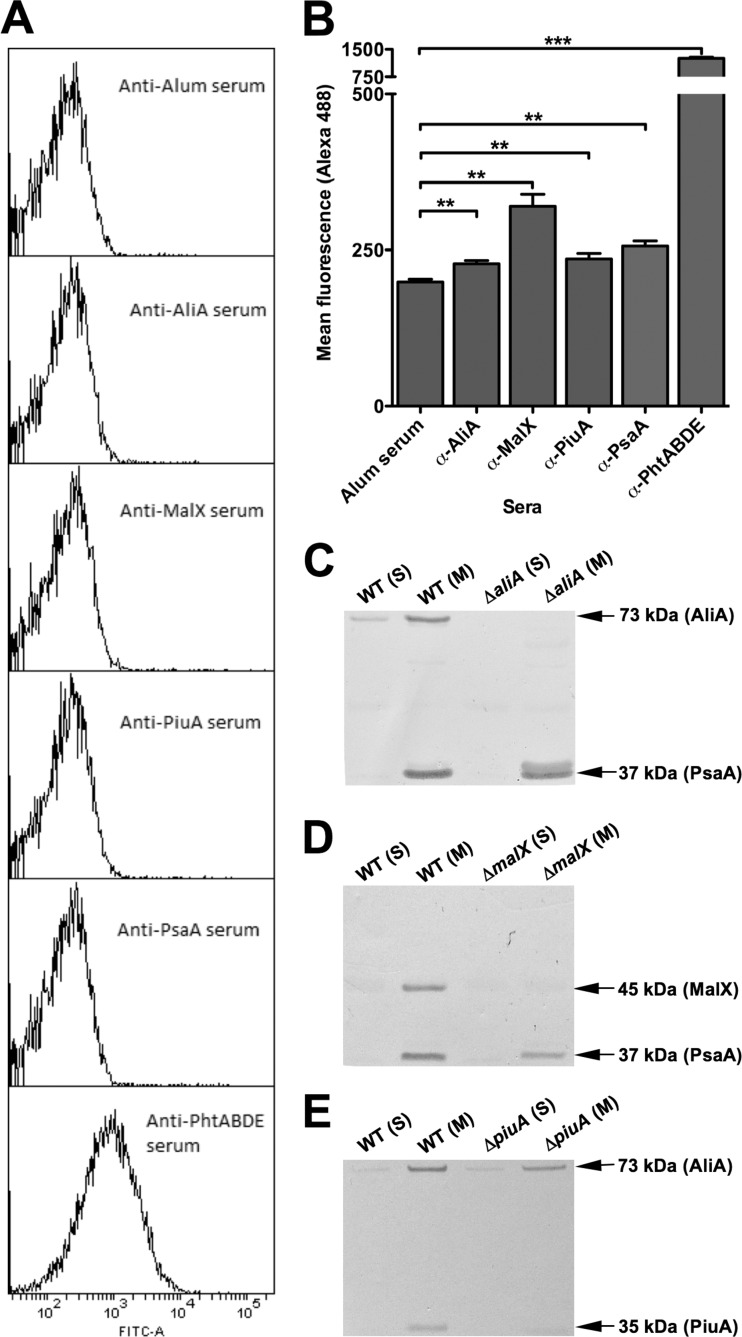 Fig 4