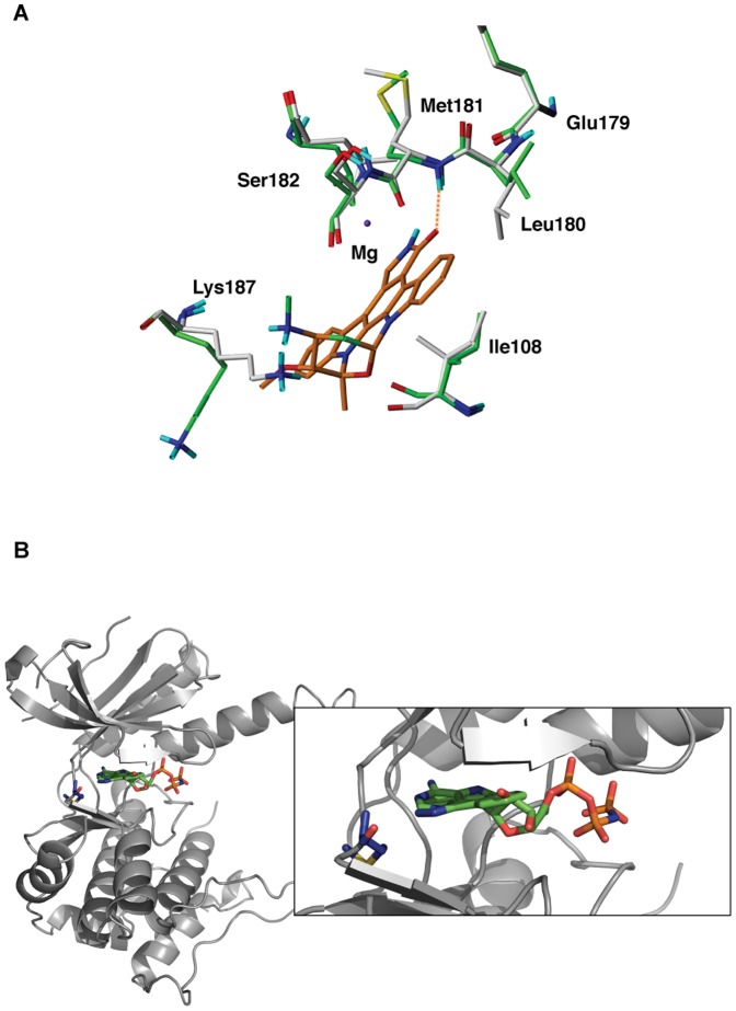 Figure 6