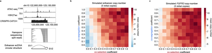 Extended Data Figure 7.