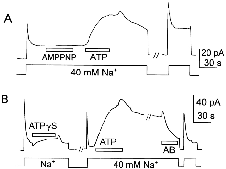 Figure 8