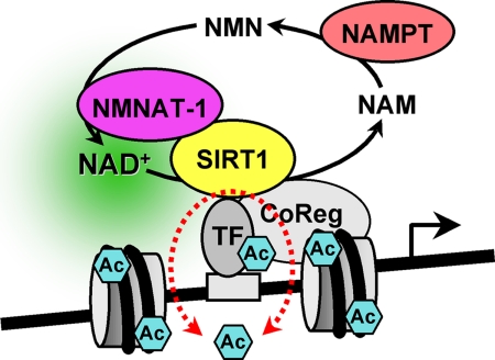 FIGURE 7.