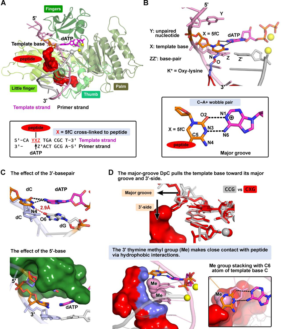 Figure 4: