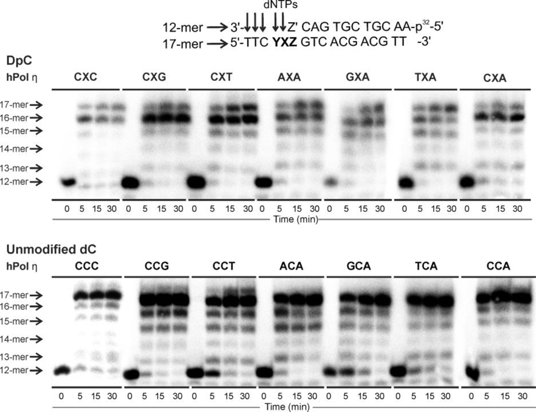 Figure 3: