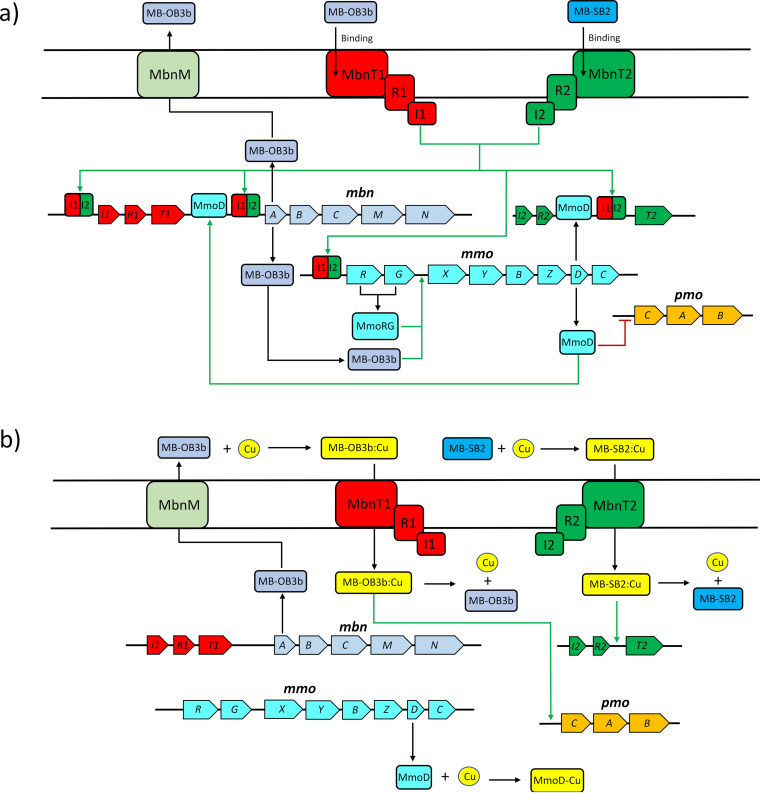 FIG 6