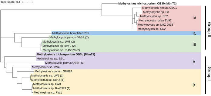 FIG 2