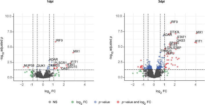 FIGURE 3