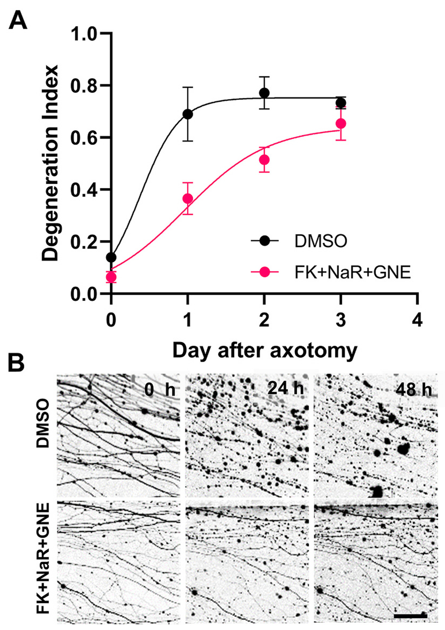 Fig. 11.