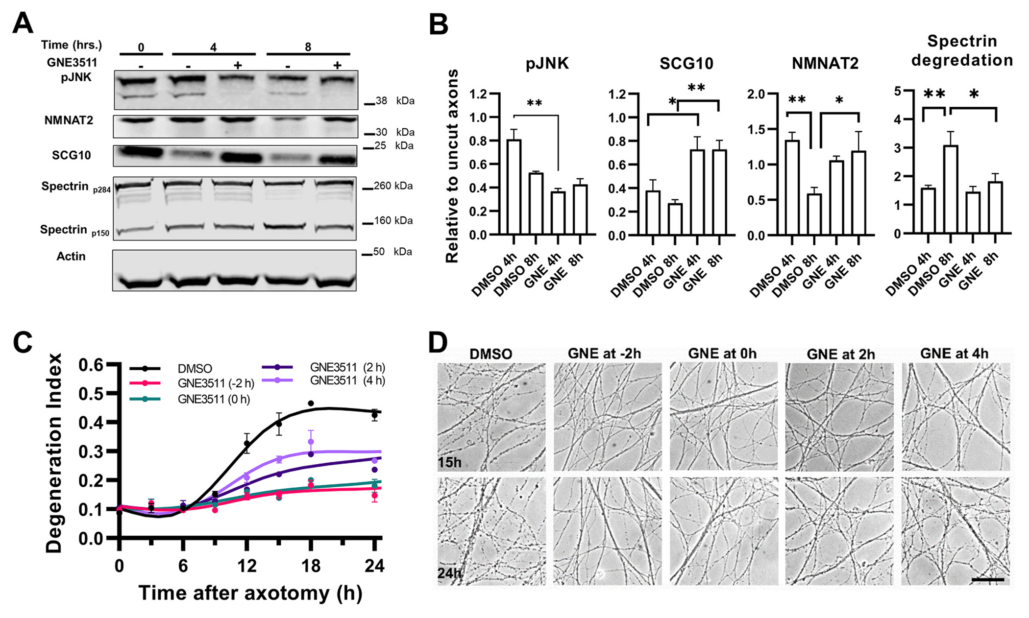 Fig. 9.