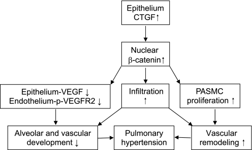 Fig. 8.