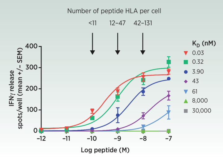 Figure 2. ImmTAC redirect and activate polyclonal T cells against as few as 11 peptide-HLA per cell (56) as measured by IFNγ release, a marker of T-cell activation. This sensitivity is only achieved if the TCR end of the ImmTAC is engineered from its natural micromolar affinity to picomolar strength.