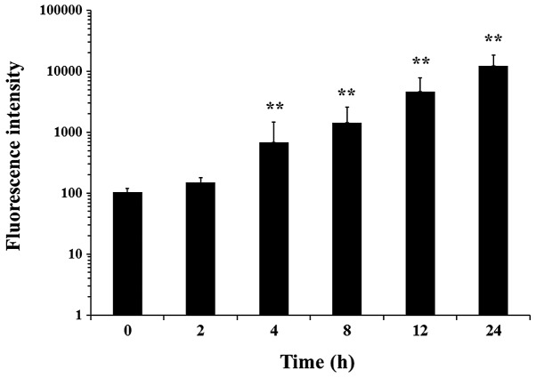 Figure 3.