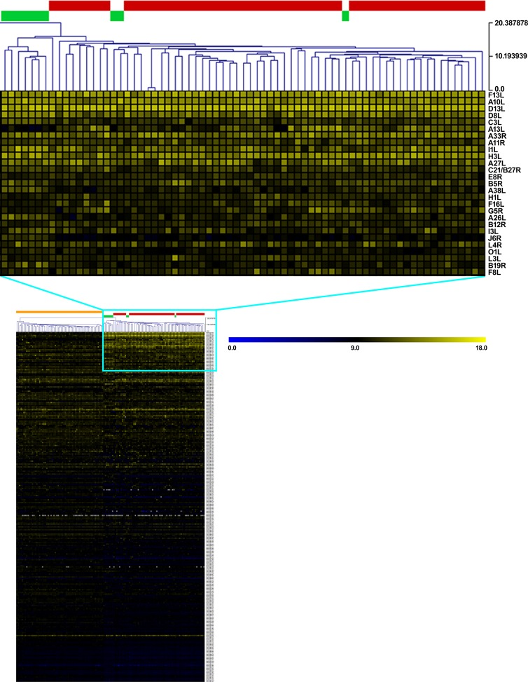 FIG 1