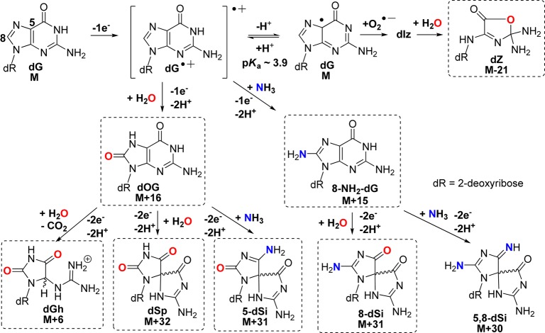 Scheme 2