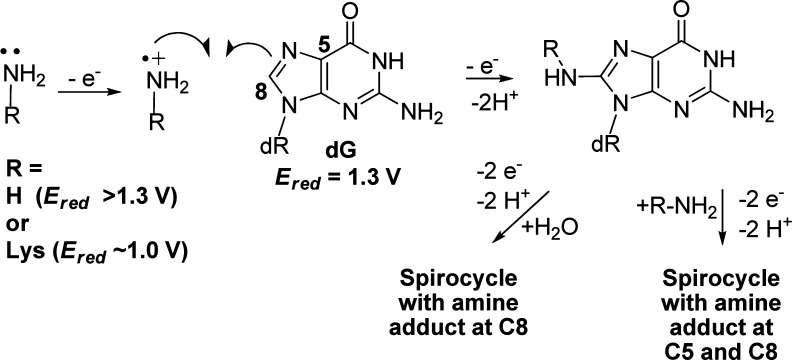 Scheme 4