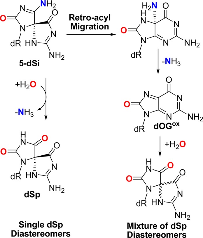 Scheme 5