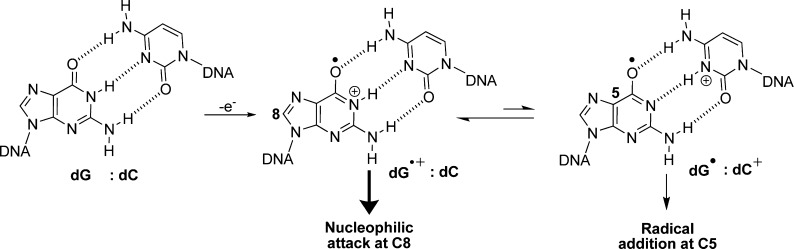 Scheme 6