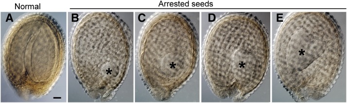 Figure 5.