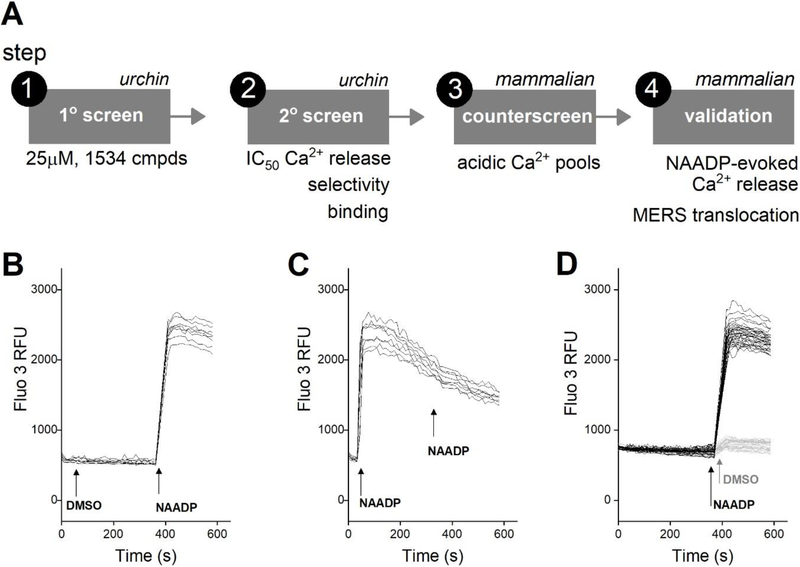 Figure 2.