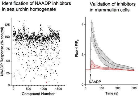 graphic file with name nihms-1511660-f0001.jpg