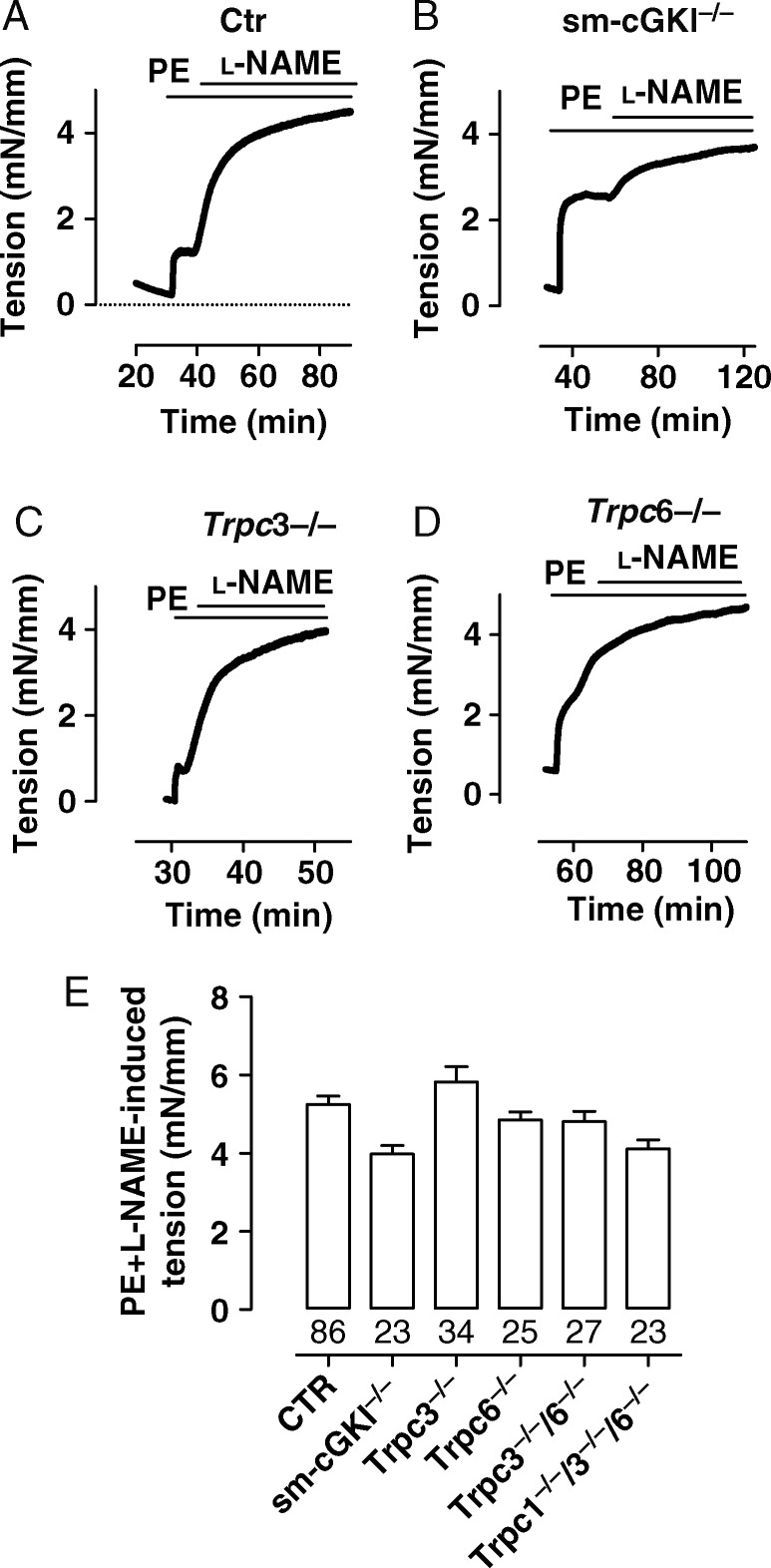 Figure 1