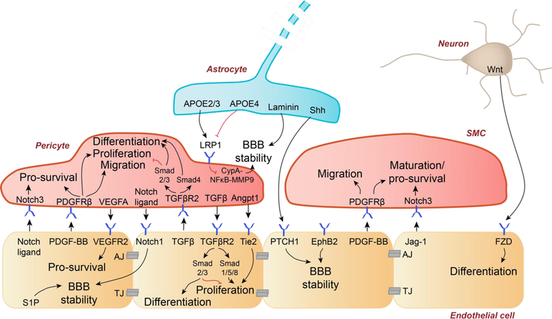 Figure 3.