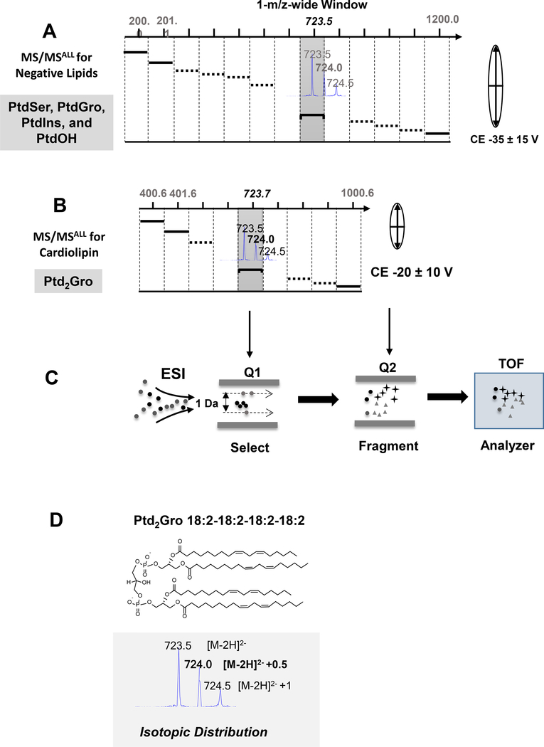 Figure 2.