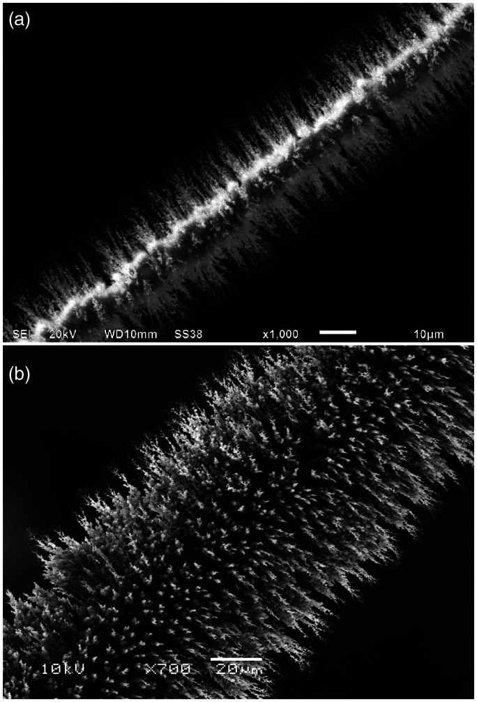 Figure 11.