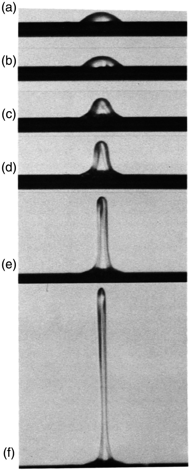 Figure 13.