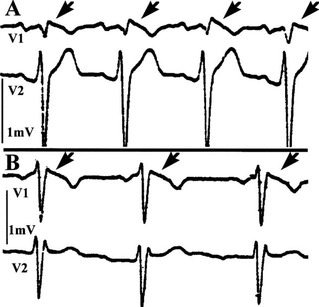 Figure 3  