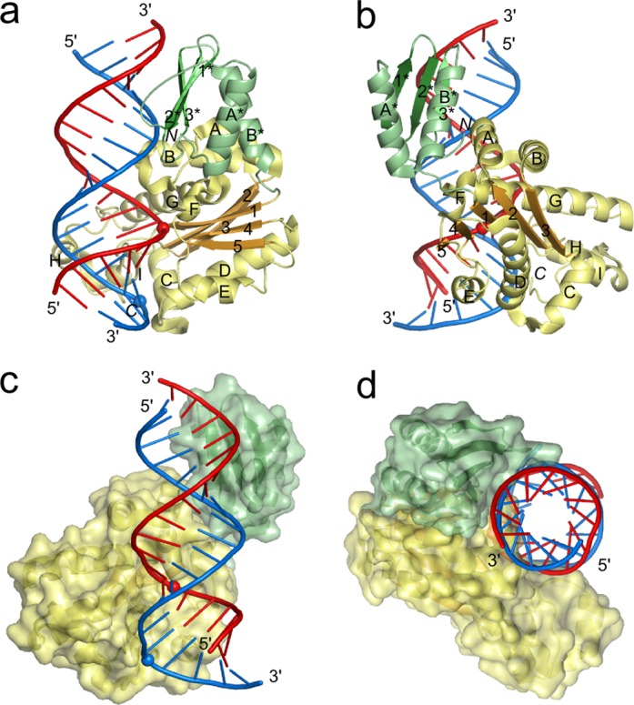 Figure 1.