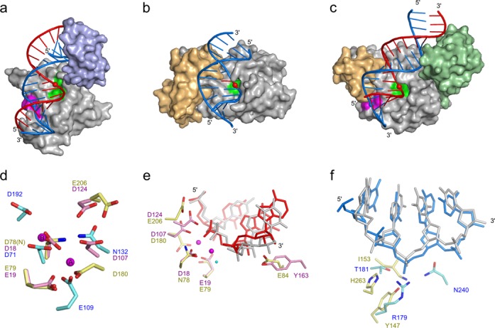 Figure 4.