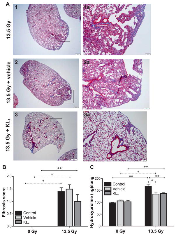 FIG. 7