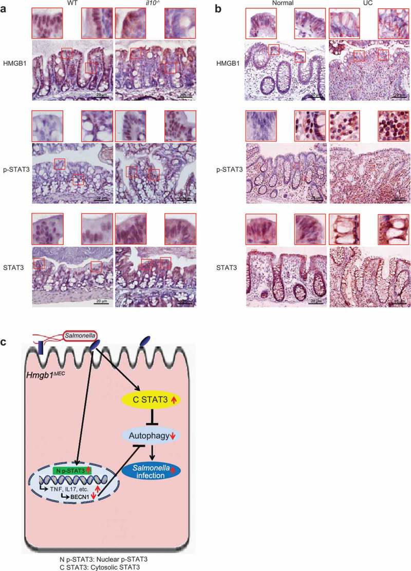 Figure 10.