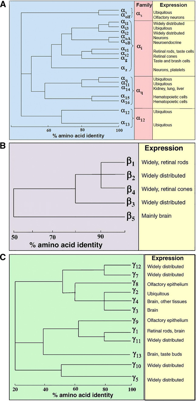 Fig. 6