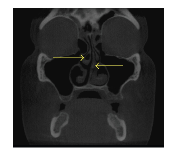 Figure 7