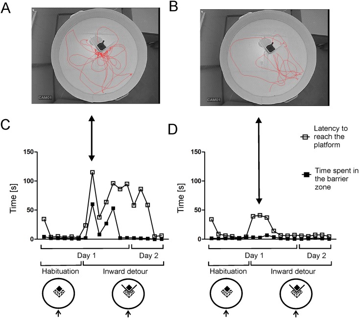 Fig 6