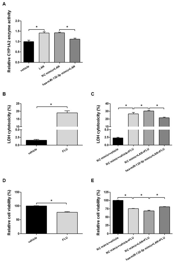 The expression, induction and pharmacological activity of CYP1A2 are ...