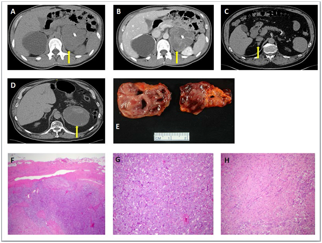 Figure 3: