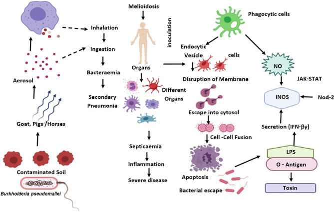 Figure 1