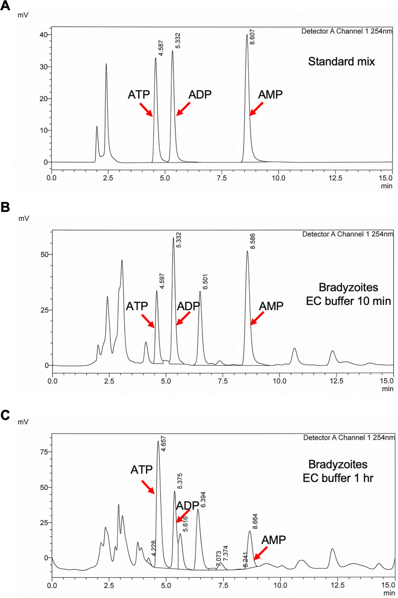 Figure 8—figure supplement 1.