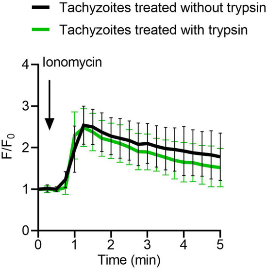 Figure 7—figure supplement 1.