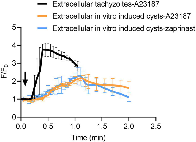 Figure 4—figure supplement 1.