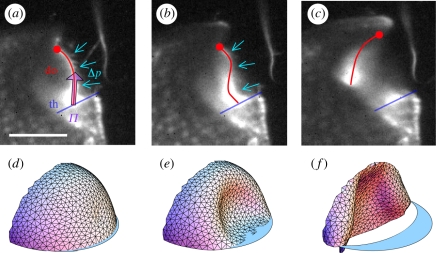 Figure 4.