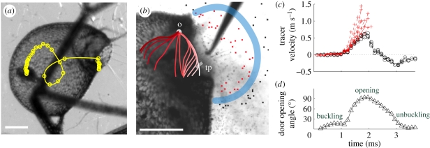 Figure 3.