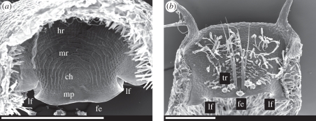 Figure 5.