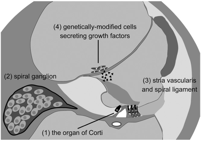 Figure 3.