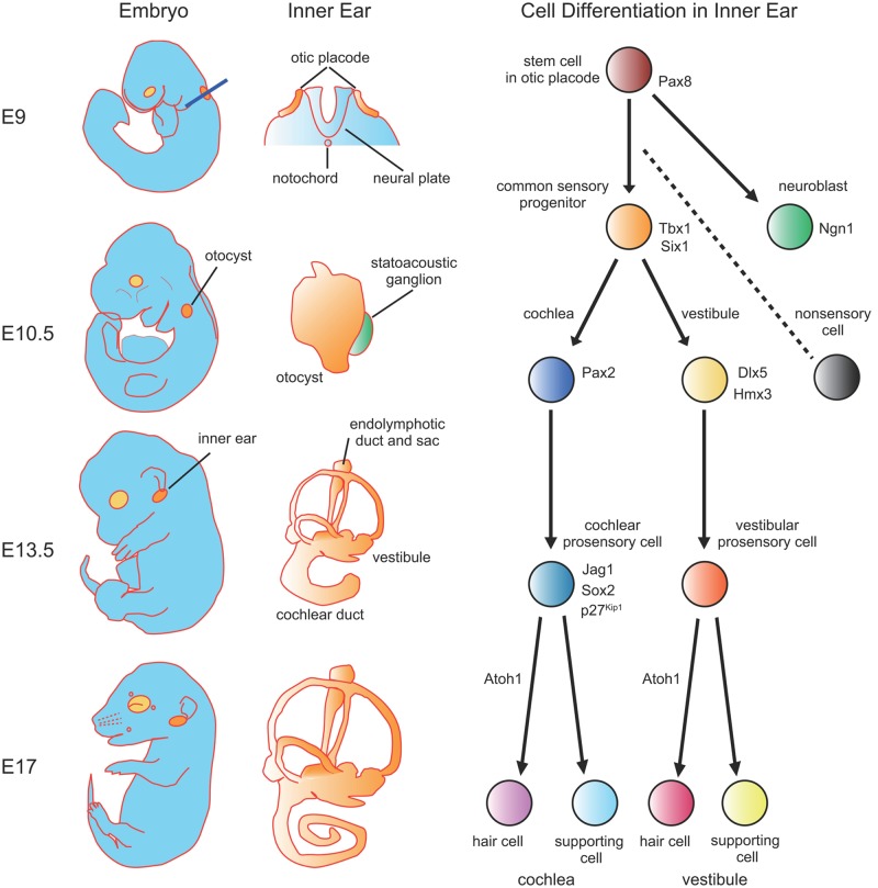 Figure 2.