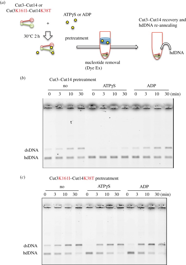 Figure 5.