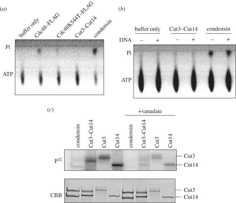 Figure 4.