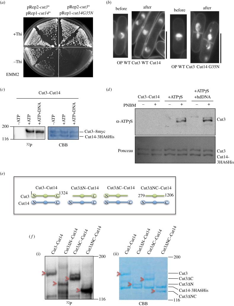 Figure 2.